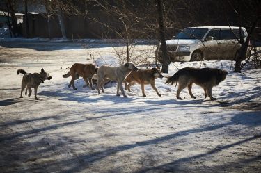 post-27586 thumbnail