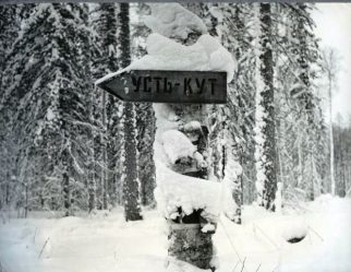 post-36259 thumbnail