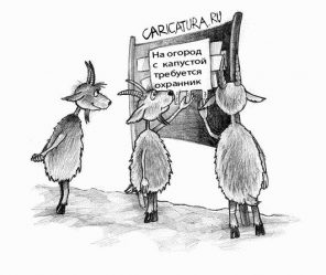 post-20278 thumbnail