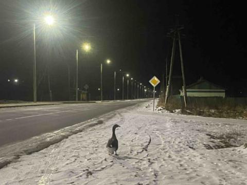 post-17640 thumbnail