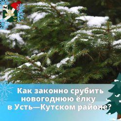 post-18792 thumbnail