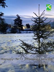 post-20460 thumbnail