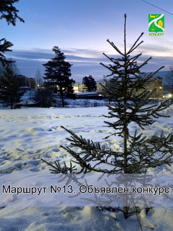 post-20460 thumbnail