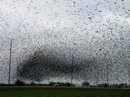 post-20722 thumbnail