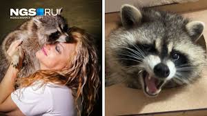 post-20807 thumbnail