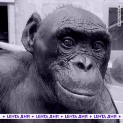 post-22612 thumbnail