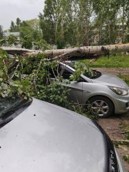 post-27822 thumbnail