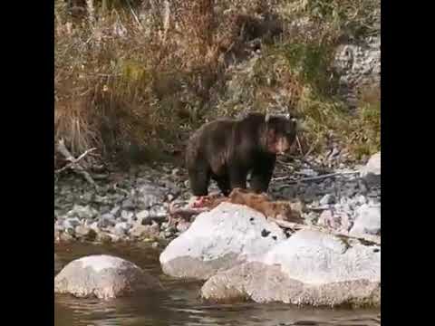 post-27670 thumbnail