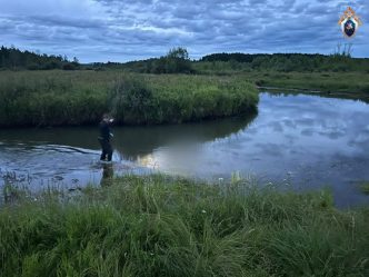 post-28410 thumbnail