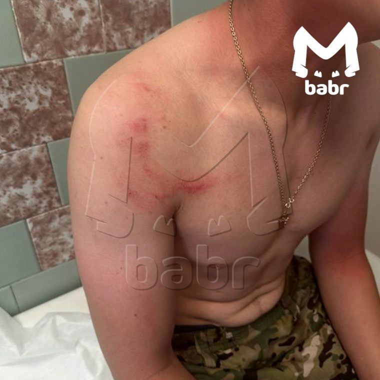 post-29243 thumbnail