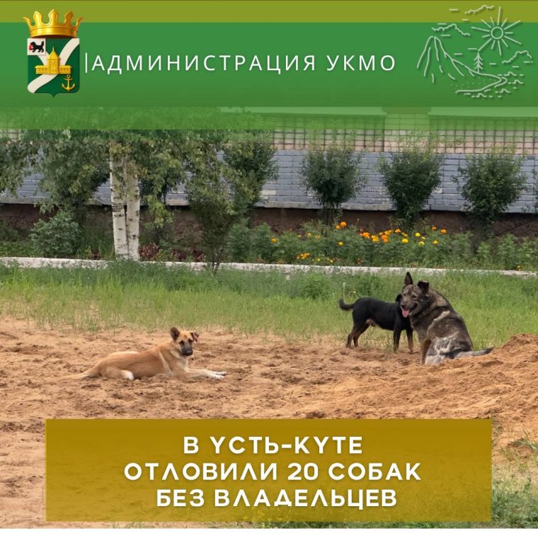 post-30218 thumbnail