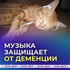 post-32460 thumbnail