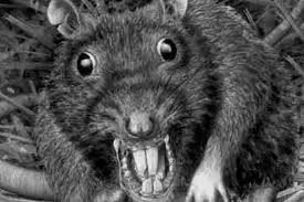 post-32116 thumbnail