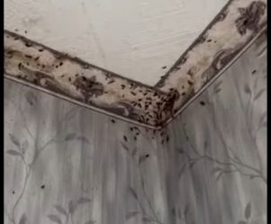 post-33172 thumbnail