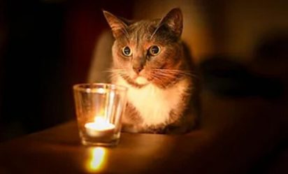 post-35077 thumbnail