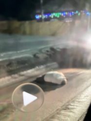 post-35747 thumbnail