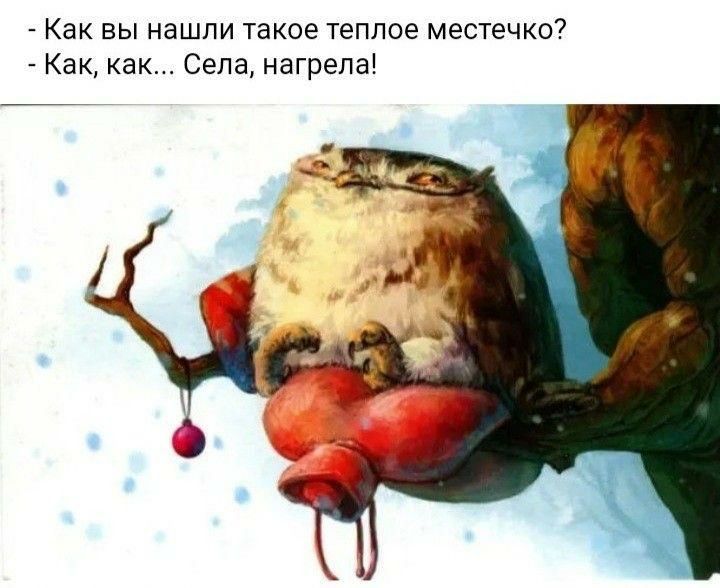 post-36536 thumbnail