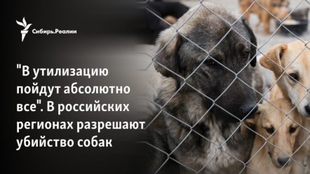 post-36493 thumbnail